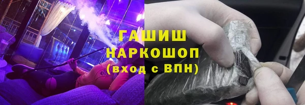 сатива Кулебаки