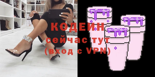 сатива Кулебаки