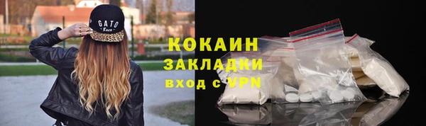 сатива Кулебаки