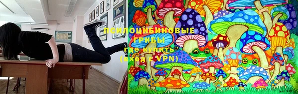 ГАЛЛЮЦИНОГЕННЫЕ ГРИБЫ Краснотурьинск