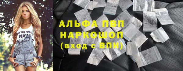 сатива Кулебаки