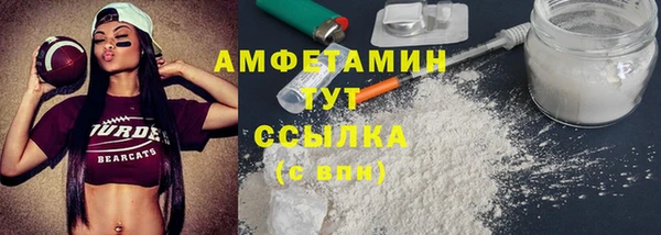 сатива Кулебаки