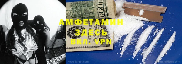 сатива Кулебаки