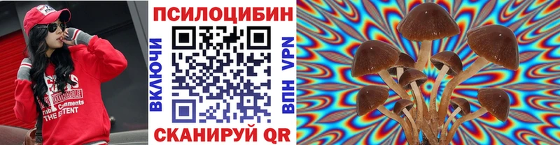 Галлюциногенные грибы прущие грибы  Ядрин 
